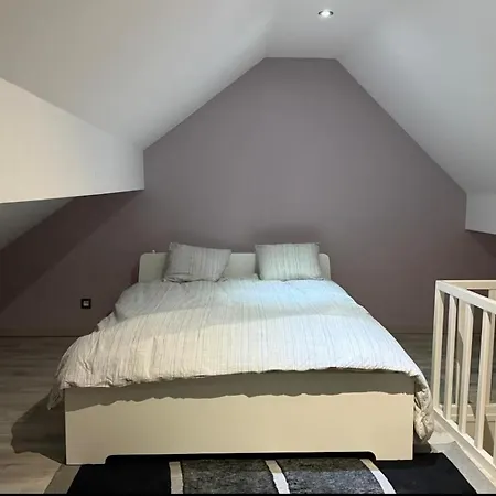 Villa Deluxe Villa Mouscron